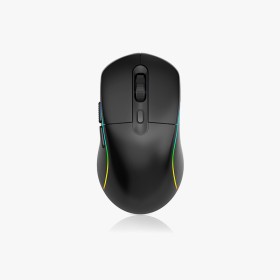 Ergonomic rechargeable wireless mouse